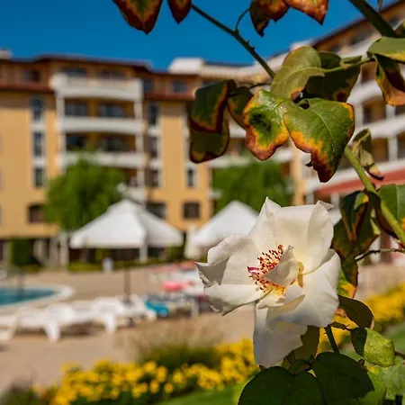 Menada Royal Sun Apartment *