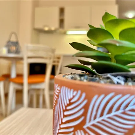 Menada Royal Sun Apartment Sunny Beach